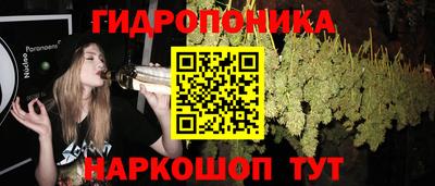 индика Кулебаки