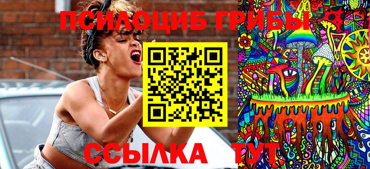 Псилоцибиновые грибы прущие грибы Кисловодск