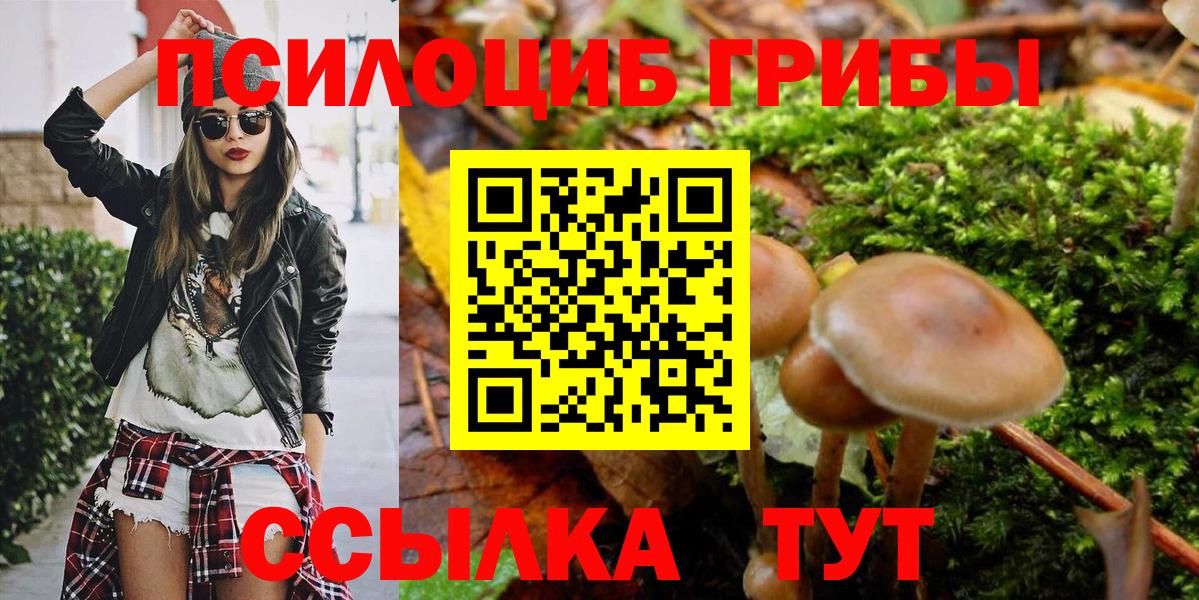 Кисловодск  Псилоцибиновые грибы Psilocybe  Вход с VPN 